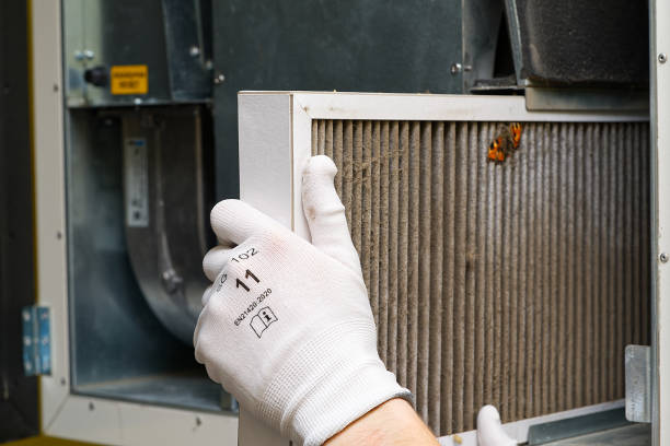 Best Affordable Duct Cleaning Services  in Bonita, CA